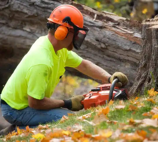 tree services Flat Rock